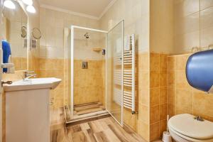 a bathroom with a shower and a toilet and a sink at Silver Major in Kaba +224 photos
