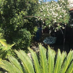 Φωτογραφία από το άλμπουμ του Kos Guest House with patio and garden στην Αντιμάχεια