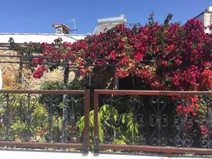 Φωτογραφία από το άλμπουμ του Kos Guest House with patio and garden στην Αντιμάχεια