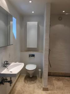 a bathroom with a sink and a toilet and a mirror at Lovely 2-BR apartment in Østerbro - 266 in Copenhagen