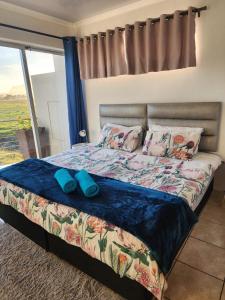 a bedroom with a bed with blue pillows and a window at Pelican Accommodation Ottery in Cape Town