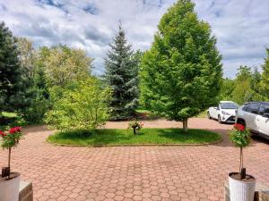 Billede fra billedgalleriet på Paradisul Verde al Nathaliei i Cornu de Jos