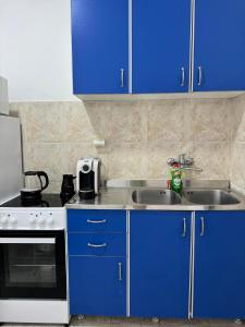 kuchnia z niebieskimi szafkami i zlewem w obiekcie Apartment Topolica w Barze