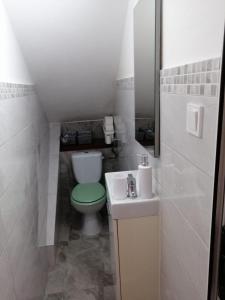 baño con aseo verde y lavamanos en Studio Apartment Ana, en Zadar