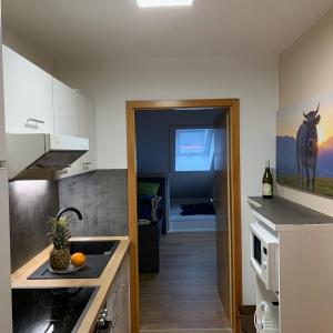 a kitchen with a sink and a door to a room at Ferienwohnungen Steigmühlenweg in Hinteregg +34 photos