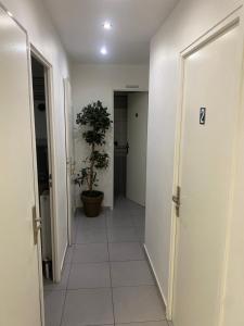 un couloir avec une plante en pot et un couloir avec deux portes dans l'établissement Résidence Zola, à Villeurbanne