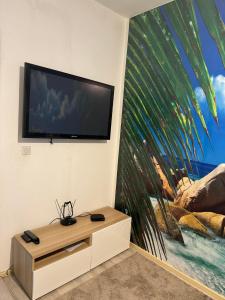 salon z telewizorem z płaskim ekranem na ścianie w obiekcie Apartment Topolica w Barze
