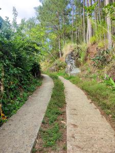 un camino de tierra en medio de un bosque en Rm 204 Mhapiya-aw Pensione Inn, en Sagada