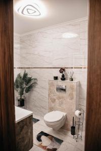 a bathroom with a toilet and a sink at Luxury Wellness Home II. Balatonboglár in Balatonboglár +40 photos