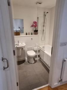 ein Bad mit einem WC, einem Waschbecken und einer Dusche in der Unterkunft Modern 1 bedroom apartment in town centre in Bedford