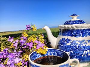 a blue and white tea pot sitting next to purple flowers at Agroturystka Taszówka in Taszów