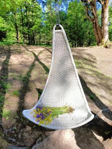 Ein weißes Netz hängt von einem Baum im Park in der Unterkunft Agroturystka Taszówka in Taszów