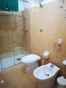 La salle de bains est pourvue d'une douche, de toilettes et d'un lavabo. dans l'établissement vacanze al Mare appartamento in villa, à Torino di Sangro