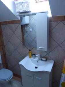 ein Badezimmer mit einem weißen Waschbecken und einer Toilette in der Unterkunft Vineyard cottage Mavrica in Dragatuš + 10 Fotos