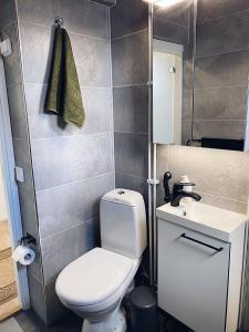 un piccolo bagno con servizi igienici e lavandino di Moderni huoneisto Salon keskustassa a Salo