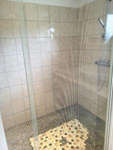 una ducha con puerta de cristal y suelo de baldosas en La Maison du Rivage, en Bretteville-sur-Ay