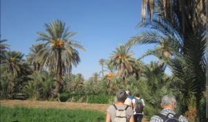 Majutusasutuse Hôtel lhamra külastajad