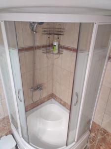 Koupelna v ubytování Prinos Apartment