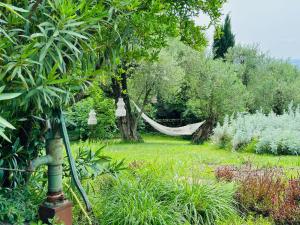 un hamac suspendu à un arbre dans un jardin dans l'établissement Relais Villa dei Gelsi & Spa, à Vérone