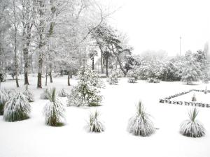 a park covered in snow with plants and trees at Manoir de la Marjolaine in Cabourg