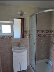 a bathroom with a sink and a shower and a mirror at Casa de vacanță in Orlat +15 photos