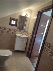 a bathroom with a toilet and a sink and a mirror at Casa de vacanță in Orlat