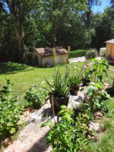 Dārzs pie naktsmītnes La Forêt des Trois Hiboux - B&B Le Clos Napoleon