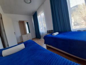 una camera da letto con due letti blu e una finestra di Guesthouse of Irina a Chvabiani
