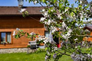 Vonkajšia záhrada v ubytovaní Apartmány Anička ubytovanie region Liptovský Mikuláš