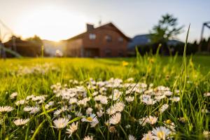 Vonkajšia záhrada v ubytovaní Apartmány Anička ubytovanie region Liptovský Mikuláš