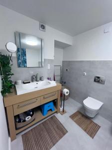 a bathroom with a sink and a toilet at Apartamenty Zdrowa 6 in Ciężkowice