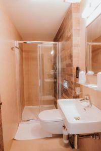een badkamer met een douche, een toilet en een wastafel bij Hotel Bonaparte in Košice