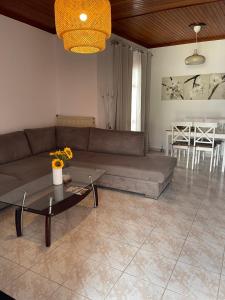 Posedenie v ubytovaní Dandolos House