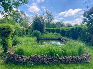 a pond in a garden with tall grass at Ferienhaus NEDAL NEUG100 in Wangerland