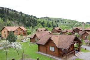 uma vista superior de uma aldeia com casas e árvores em TAOR Karpaty Resort & Spa em Skhidnitsa