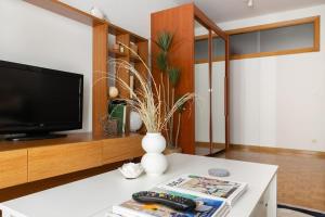 una sala de estar con TV y un jarrón sobre una mesa en El balcón de San Antón by Clabao, en Pamplona