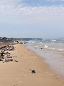 ein Strand mit vielen Fußabdrücken im Sand in der Unterkunft Marianne Cottage Chambre d'Hotes in Couvains