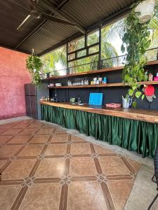 a bar in a restaurant with plants on the wall at CASA FOTR LOCO in Uvita