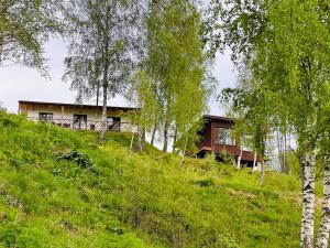 uma casa no topo de uma colina com árvores em Obriyslavsko em Slavske
