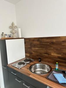 a kitchen with a sink and a counter top at Gasthof Ostwind - ferienwohnungen & meer in Steffenshagen
