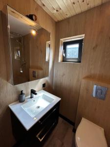 a bathroom with a sink and a mirror and a toilet at Pensjonat Żurawi Kąt in Górkło