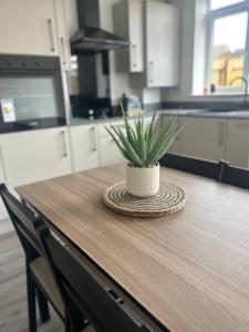een potplant op een houten tafel in een keuken bij Free Parking! Comfy home in Barwell, Leicester -b- 