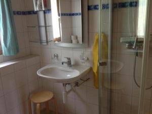 a bathroom with a sink and a glass shower at Ferienhaus "Datscha" freistehend, Garten, Labelfamily destination in Lenk
