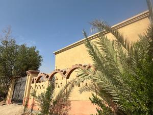 een gebouw met een palmboom ervoor bij The Desert House, Luxor, Westbank in ‘Ezbet Abu Ḥabashi