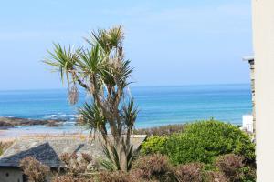 a palm tree with the ocean in the background at STYLISH, BEACHSIDE apartment, sea views in St Merryn