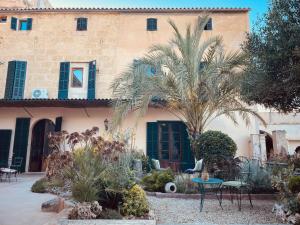 a house with a palm tree in front of it at Casa Mona Turismo de Interior in Llubí