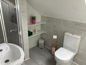 un bagno con un water bianco e un lavandino di V93C9R0 Stone View Wonderful spacious two bed attic rooms private entrance private bathroom with kitchenette a Killarney, Co Kerry