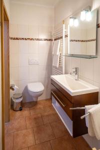 uma casa de banho com um lavatório e um WC em Pension Zur Neuenburg em Freyburg