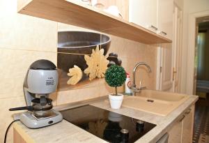 Kuchyň nebo kuchyňský kout v ubytování Makotel Apartmanház
