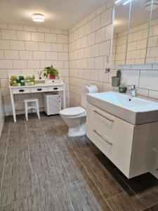 a bathroom with a sink and a toilet and a vanity at Musseronen in Klippan